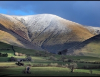 calders