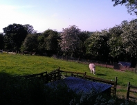 school_farm